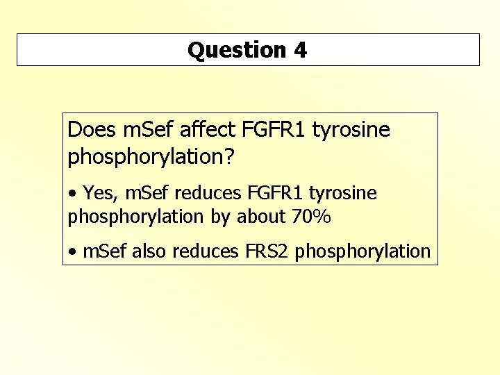 Question 4 Does m. Sef affect FGFR 1 tyrosine phosphorylation? • Yes, m. Sef