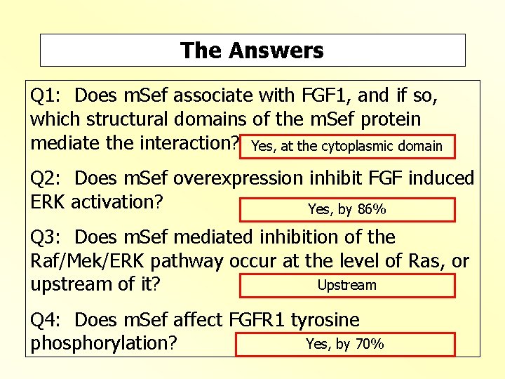 The Answers Q 1: Does m. Sef associate with FGF 1, and if so,