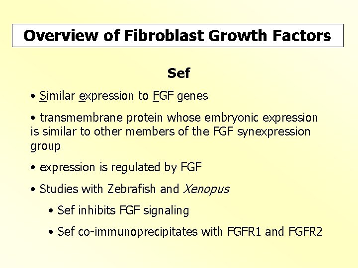 Overview of Fibroblast Growth Factors Sef • Similar expression to FGF genes • transmembrane