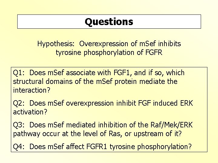 Questions Hypothesis: Overexpression of m. Sef inhibits tyrosine phosphorylation of FGFR Q 1: Does