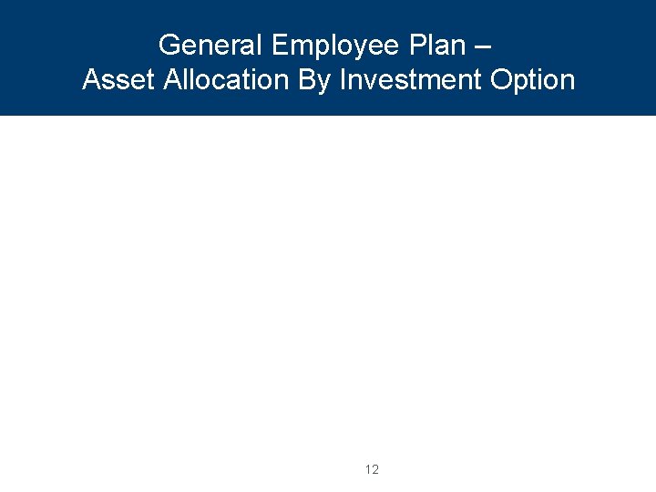 General Employee Plan – Asset Allocation By Investment Option 12 