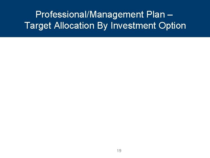 Professional/Management Plan – Target Allocation By Investment Option 19 