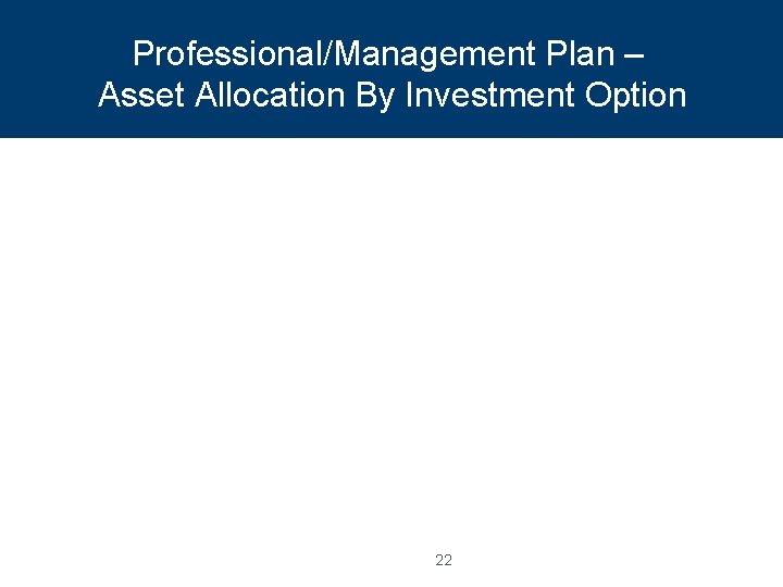 Professional/Management Plan – Asset Allocation By Investment Option 22 
