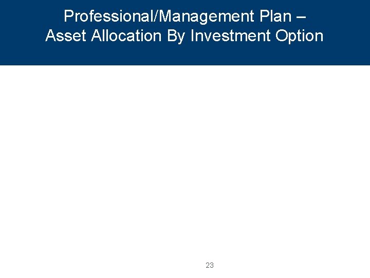 Professional/Management Plan – Asset Allocation By Investment Option 23 