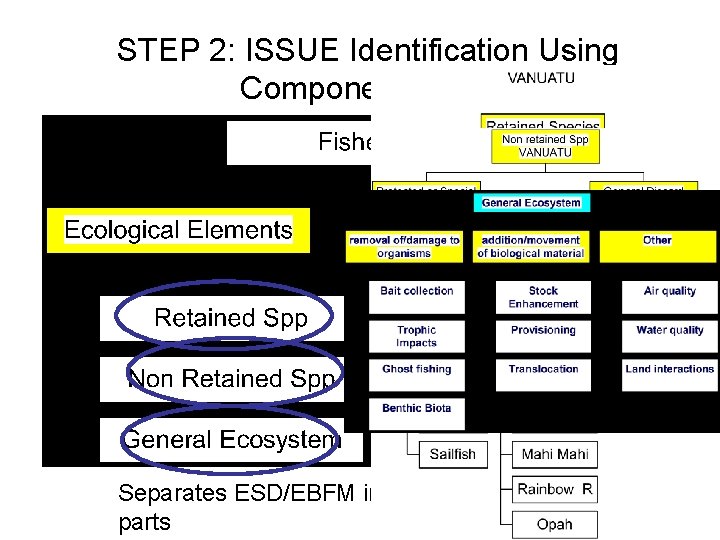 STEP 2: ISSUE Identification Using Component Trees Separates ESD/EBFM into component parts 