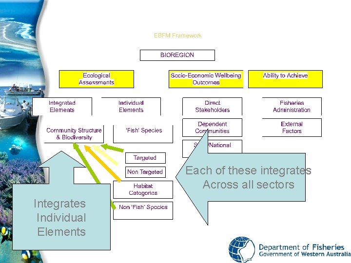 Each of these integrates Across all sectors Integrates Individual Elements 
