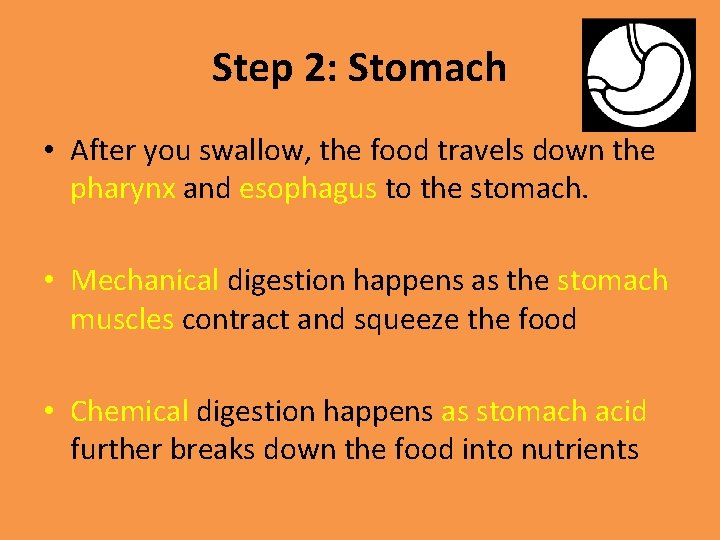 Step 2: Stomach • After you swallow, the food travels down the pharynx and