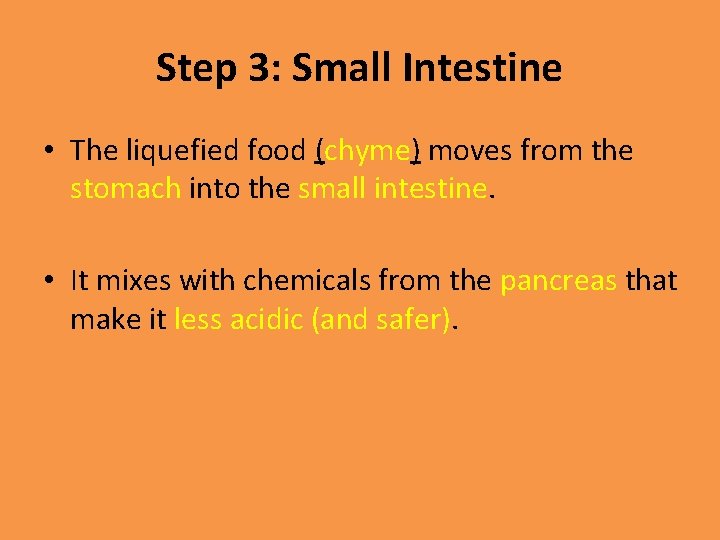 Step 3: Small Intestine • The liquefied food (chyme) moves from the stomach into