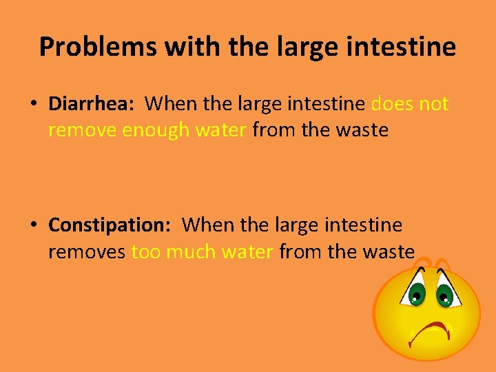 Problems with the large intestine • Diarrhea: When the large intestine does not remove