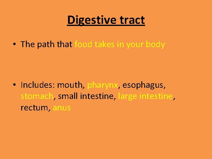 Digestive tract • The path that food takes in your body • Includes: mouth,