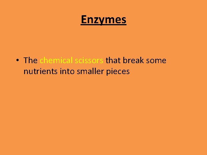 Enzymes • The chemical scissors that break some nutrients into smaller pieces 