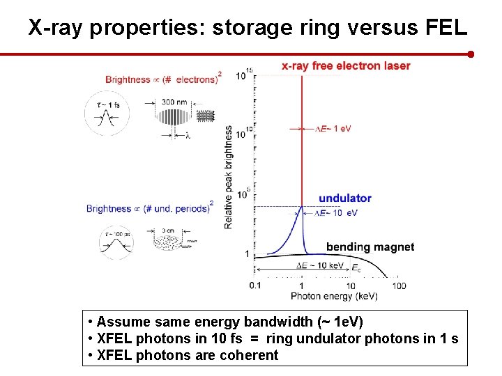 X-ray properties: storage ring versus FEL • Assume same energy bandwidth (~ 1 e.