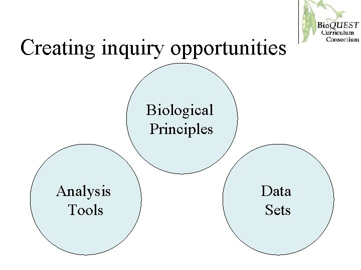 Creating inquiry opportunities Biological Principles Analysis Tools Data Sets 