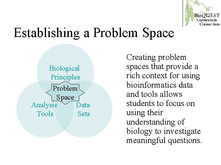 Establishing a Problem Space Biological Principles Problem Space Analysis Data Tools Sets Creating problem