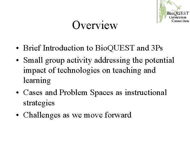 Overview • Brief Introduction to Bio. QUEST and 3 Ps • Small group activity