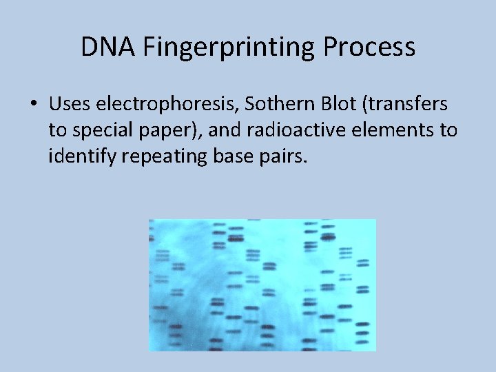 DNA Fingerprinting Process • Uses electrophoresis, Sothern Blot (transfers to special paper), and radioactive