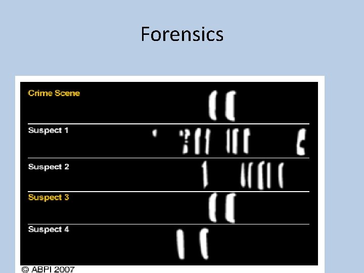 Forensics 