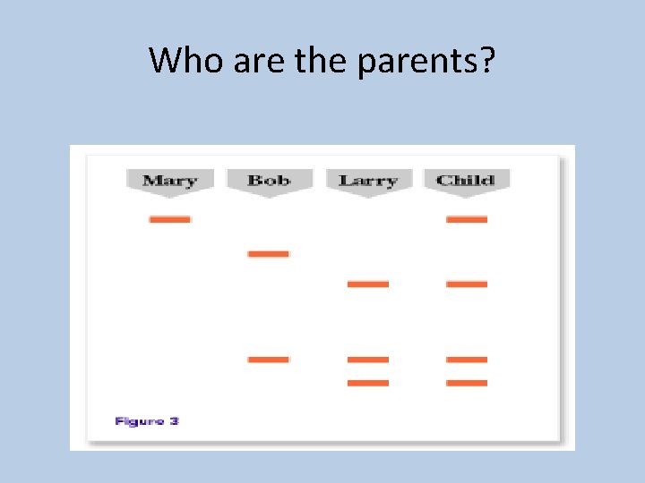 Who are the parents? 