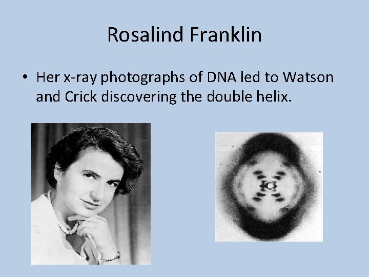 Rosalind Franklin • Her x-ray photographs of DNA led to Watson and Crick discovering