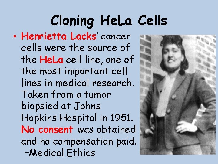 Cloning He. La Cells • Henrietta Lacks’ cancer cells were the source of the