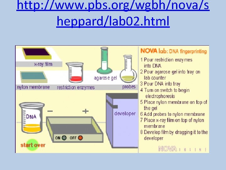 http: //www. pbs. org/wgbh/nova/s heppard/lab 02. html 