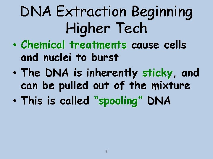DNA Extraction Beginning Higher Tech • Chemical treatments cause cells and nuclei to burst