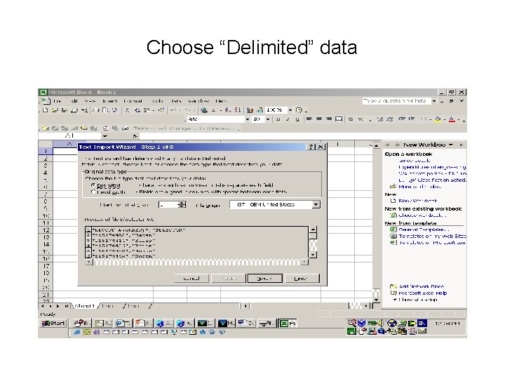 Choose “Delimited” data 