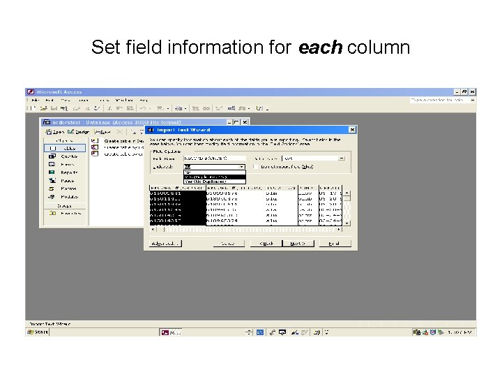 Set field information for each column 