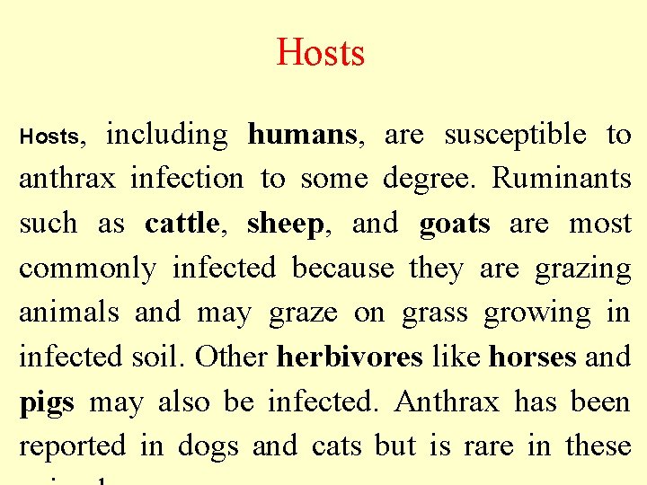 Hosts, including humans, are susceptible to anthrax infection to some degree. Ruminants such as