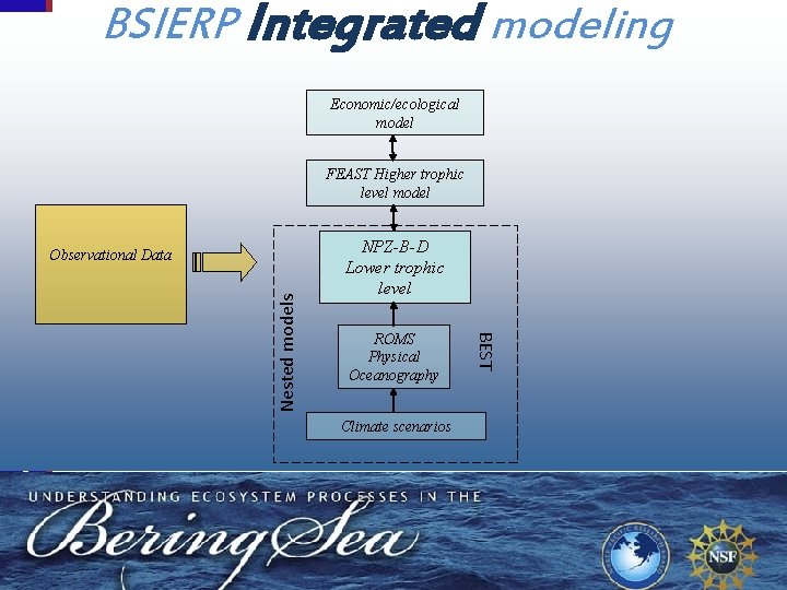 FEAST Higher trophic level model Observational Data Nested models BEST-BSIERP Bering Sea Project Economic/ecological