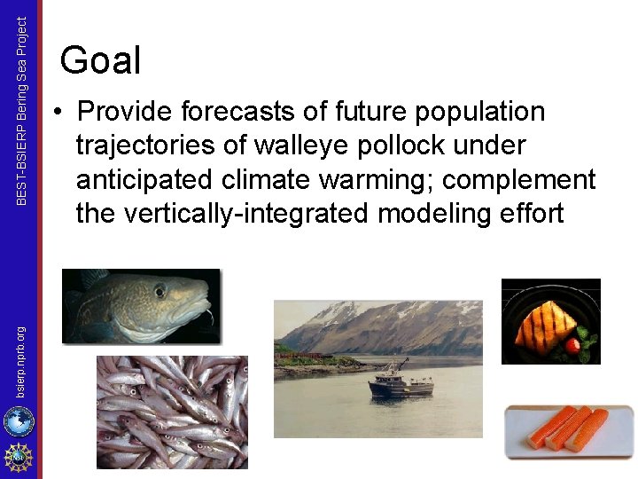 BEST-BSIERP Bering Sea Project bsierp. nprb. org Goal • Provide forecasts of future population