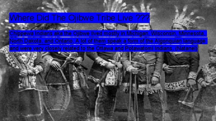 Where Did The Ojibwe Tribe Live ? ? ? Chippewa Indians aka the Ojibwe