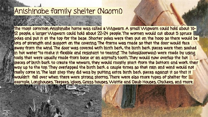Anishinabe family shelter (Naomi) The most common Anishinabe home was called a Wigwam. A