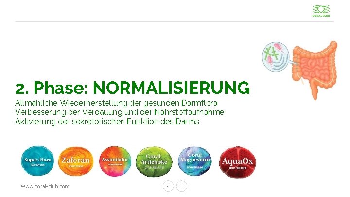 2. Phase: NORMALISIERUNG Allmähliche Wiederherstellung der gesunden Darmflora Verbesserung der Verdauung und der Nährstoffaufnahme