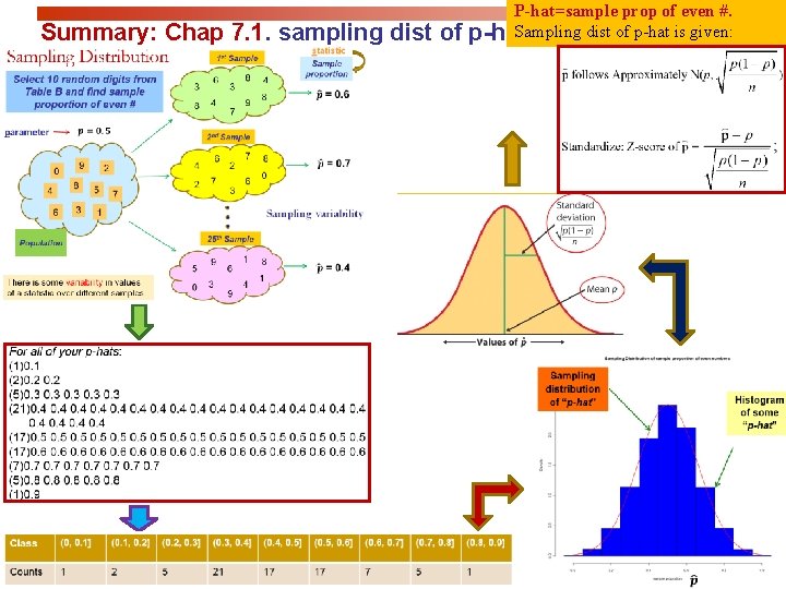 Summary: Chap 7. 1. sampling dist of P-hat=sample prop of even #. Sampling dist