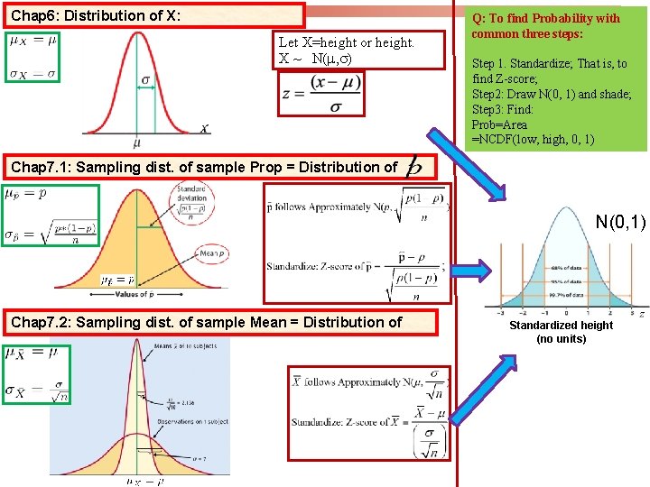Chap 6: Distribution of X: Let X=height or height. X ~ N(m, s) Q: