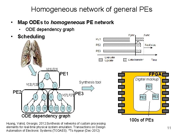 Homogeneous network of general PEs • Map ODEs to homogeneous PE network • ODE