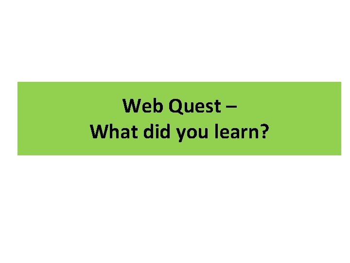 Web Quest – What did you learn? 