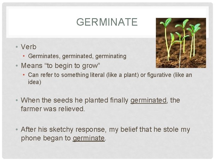 GERMINATE • Verb • Germinates, germinated, germinating • Means “to begin to grow” •