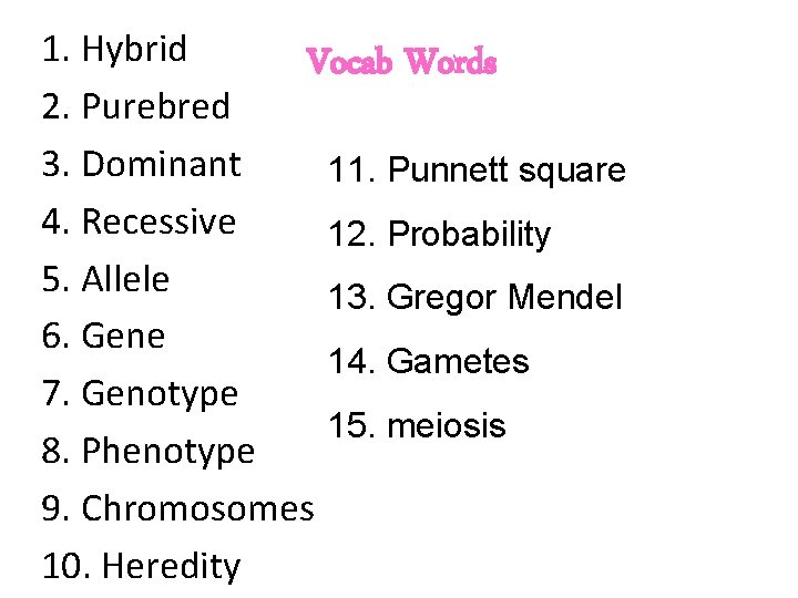 1. Hybrid Vocab Words 2. Purebred 3. Dominant 11. Punnett square 4. Recessive 12.