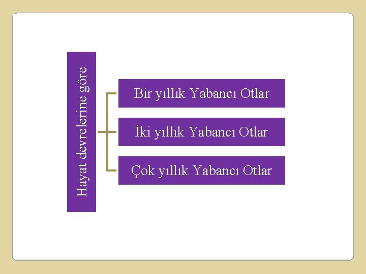 Hayat devrelerine göre Bir yıllık Yabancı Otlar İki yıllık Yabancı Otlar Çok yıllık Yabancı