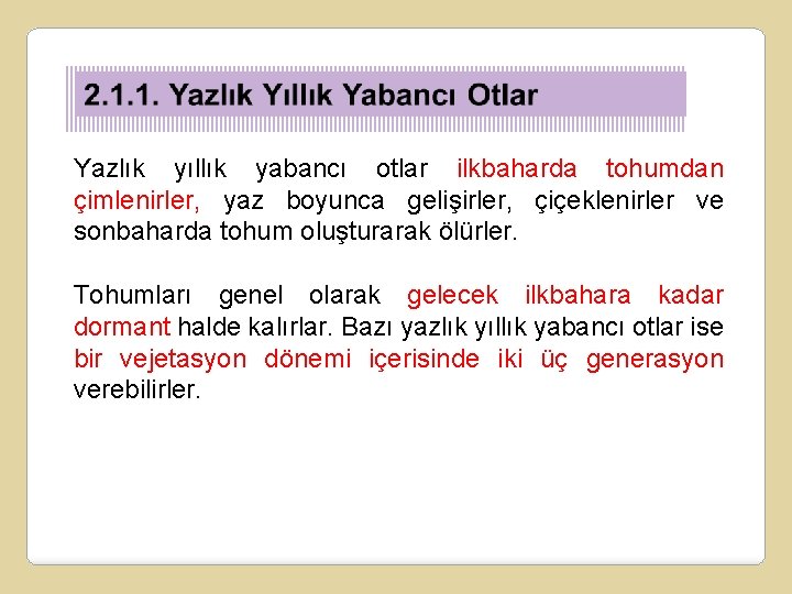 Yazlık yıllık yabancı otlar ilkbaharda tohumdan çimlenirler, yaz boyunca gelişirler, çiçeklenirler ve sonbaharda tohum