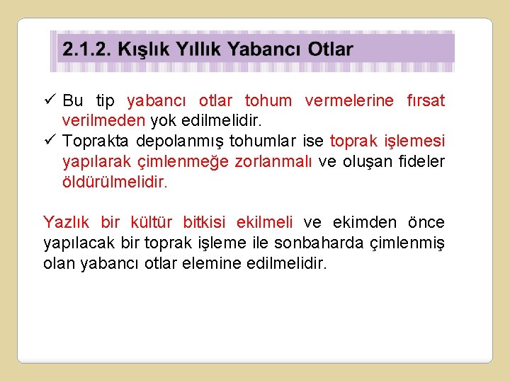 ü Bu tip yabancı otlar tohum vermelerine fırsat verilmeden yok edilmelidir. ü Toprakta depolanmış