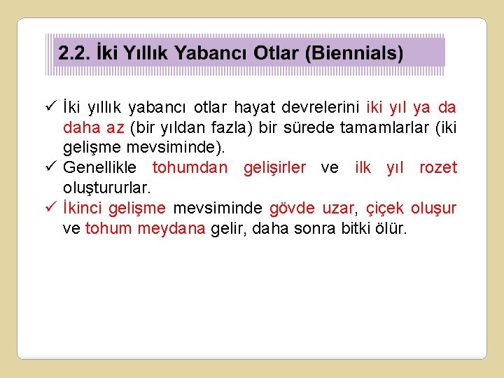 ü İki yıllık yabancı otlar hayat devrelerini iki yıl ya da daha az (bir