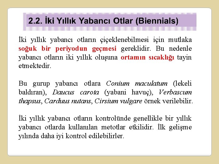 İki yıllık yabancı otların çiçeklenebilmesi için mutlaka soğuk bir periyodun geçmesi gereklidir. Bu nedenle