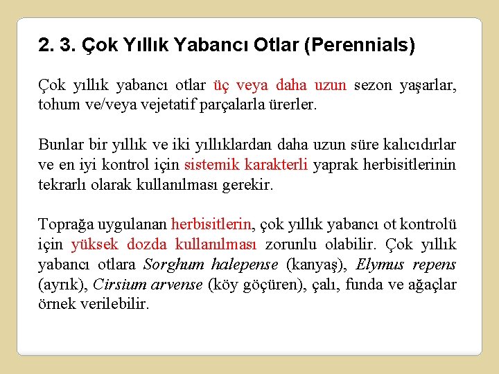 2. 3. Çok Yıllık Yabancı Otlar (Perennials) Çok yıllık yabancı otlar üç veya daha