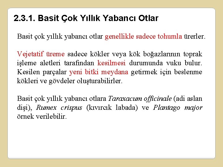 2. 3. 1. Basit Çok Yıllık Yabancı Otlar Basit çok yıllık yabancı otlar genellikle