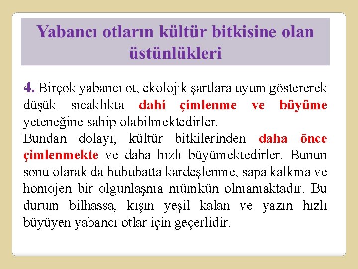 4. Birçok yabancı ot, ekolojik şartlara uyum göstererek düşük sıcaklıkta dahi çimlenme ve büyüme