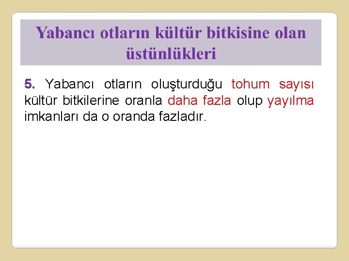 5. Yabancı otların oluşturduğu tohum sayısı kültür bitkilerine oranla daha fazla olup yayılma imkanları