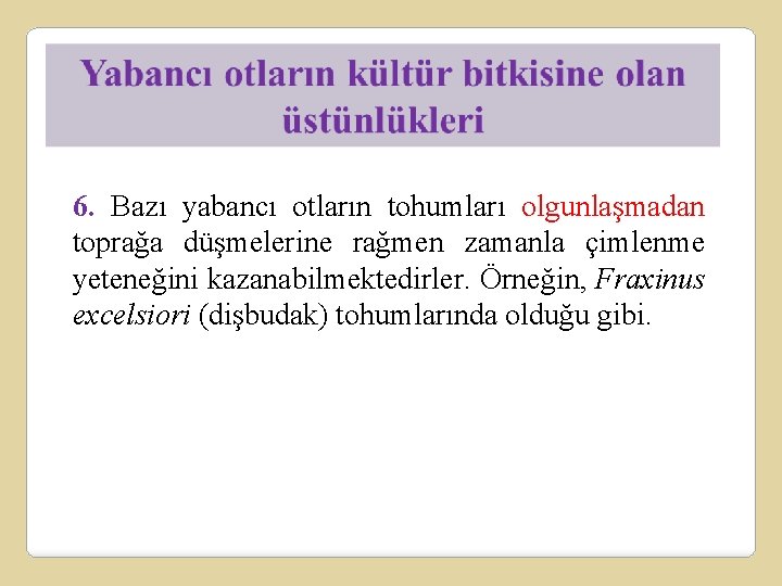 6. Bazı yabancı otların tohumları olgunlaşmadan toprağa düşmelerine rağmen zamanla çimlenme yeteneğini kazanabilmektedirler. Örneğin,